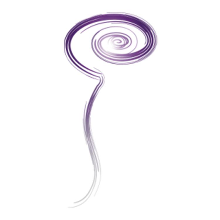 SpinalCSFLeak.org logo